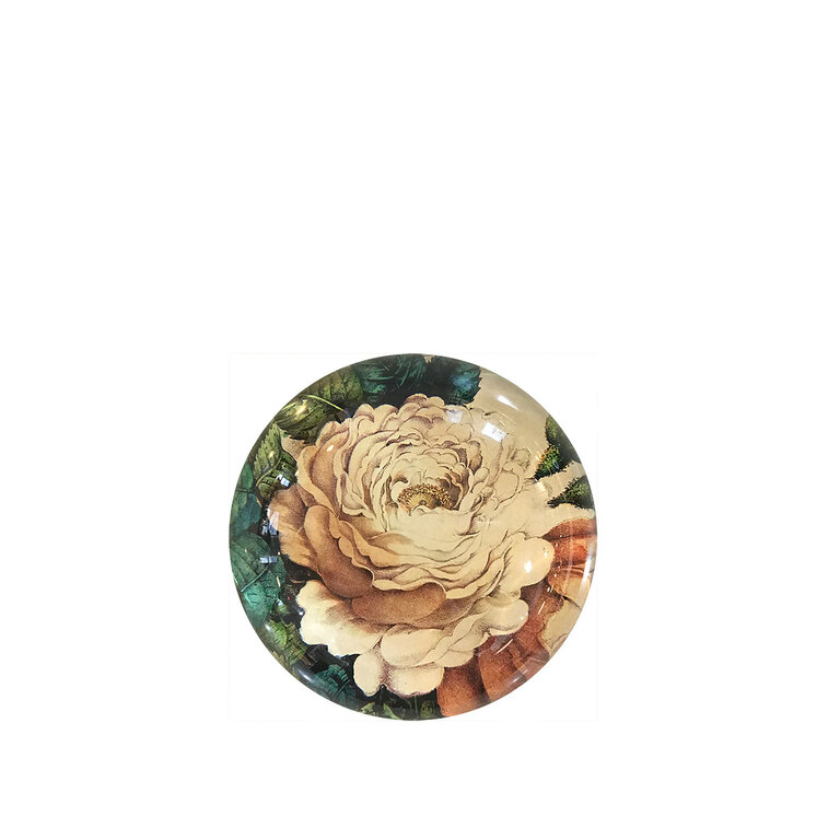 John Derian Sepia Rose Dome Paperweight