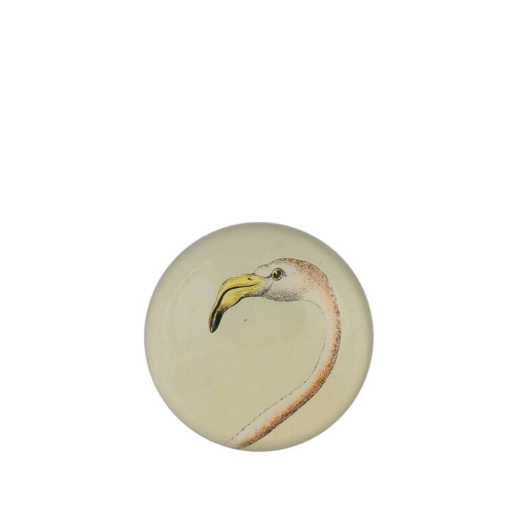 John Derian Flamingo Dome Paperweight