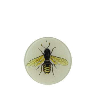 John Derian Bee 3 Plate