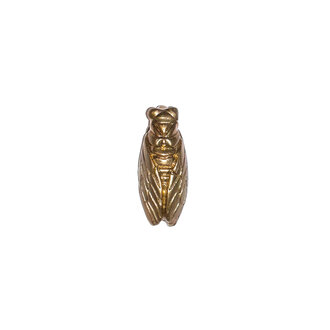 Miniature Wax Cicada