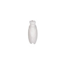 Color : Blanc