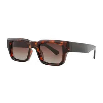 Cade Tortoise / Smokey Lens Sunglasses