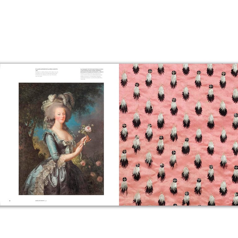 Marie Antoinette Style