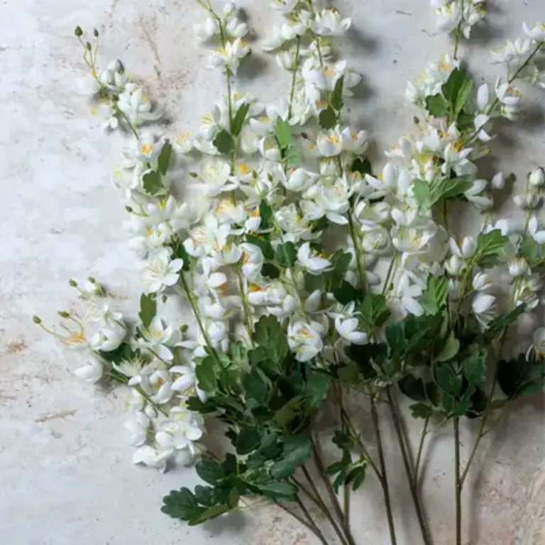 Flower Stem- Campanula Cream