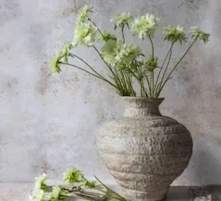 Flower Stem- Scabious Flower, Cream