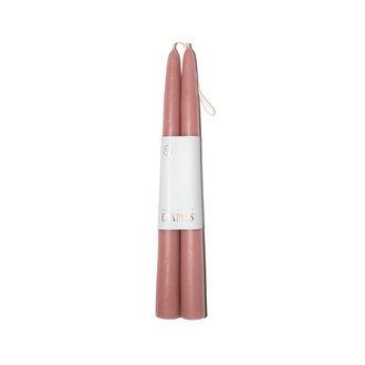 Rose Taper Candles