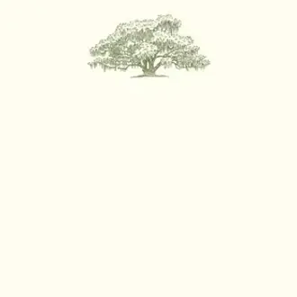 Alexa Pulitzer Oak Tree Flat Notes Stationery Set – 10 Pack