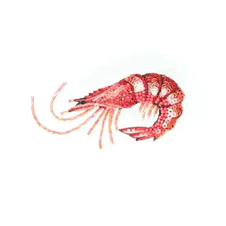 Trovelore True Shrimp Brooch Pin