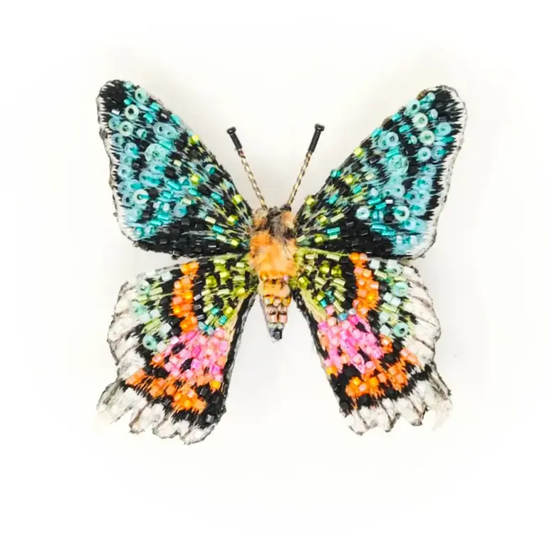 Brooch- Madagascar Sunset Moth