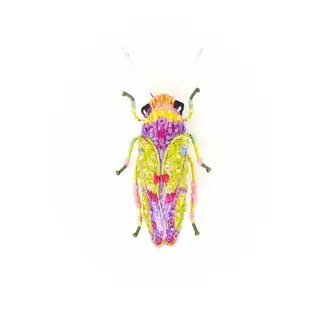 Sharpshooter Beetle Brooch