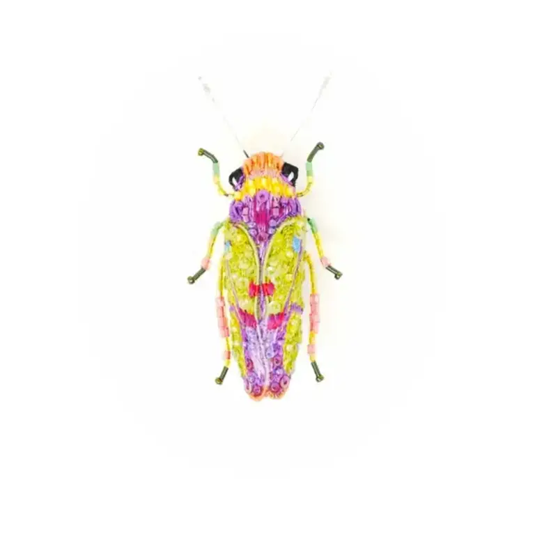 Brooch- Sharpshooter Beetle