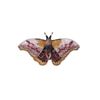 Trovelore Emperor Mopane Moth Brooch