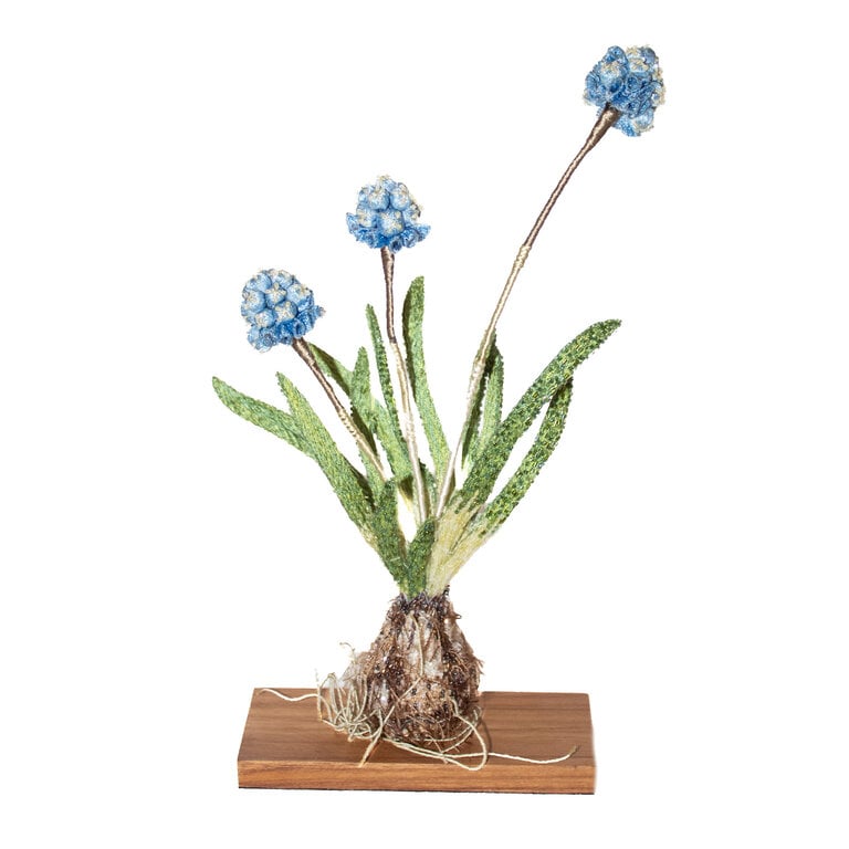 Trovelore Grape Hyacinth Object Art