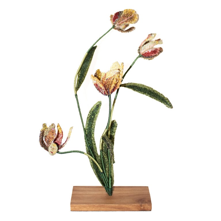 Trovelore Rembrandt Tulip Object Art