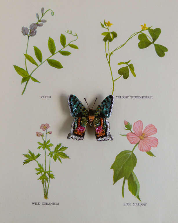 Trovelore Madagascar Sunset Moth Brooch
