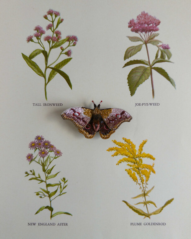 Trovelore Emperor Mopane Moth Brooch