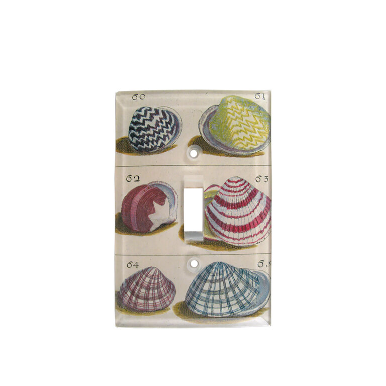 John Derian Shells Switch Plate Cover