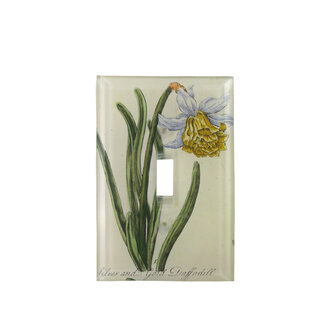 John Derian Daffodil Switch Plate Cover