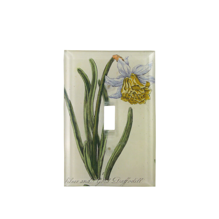 John Derian Daffodil Switch Plate Cover