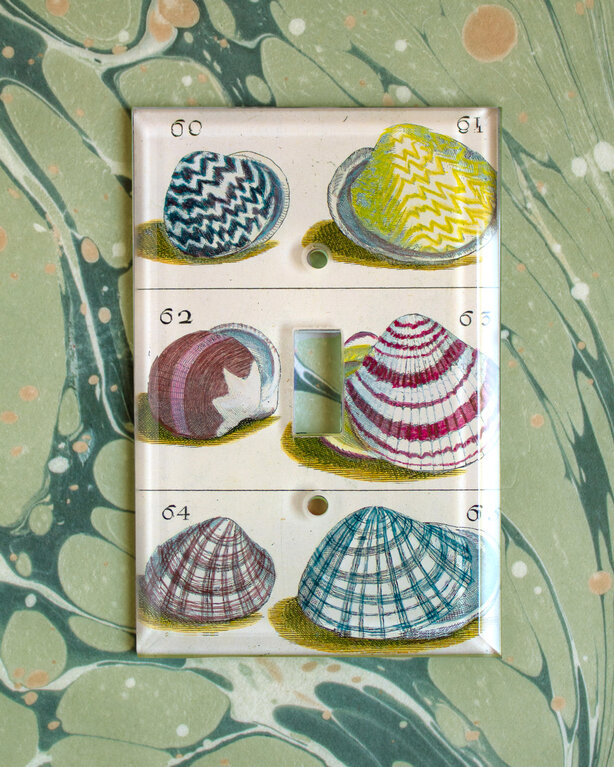 John Derian Shells Switch Plate Cover