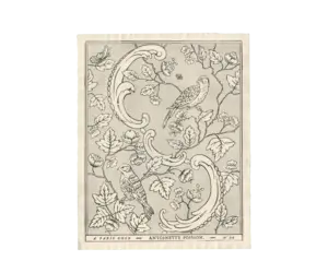 Antoinette Poisson 24C Oiseaux & Feuillages Domino Paper - The
