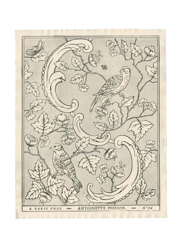Antoinette Poisson  24C Oiseaux & Feuillages Domino Paper