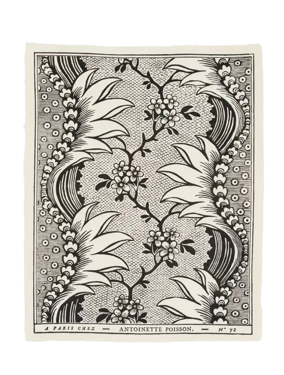 Antoinette Poisson  72C Torrent Domino Paper