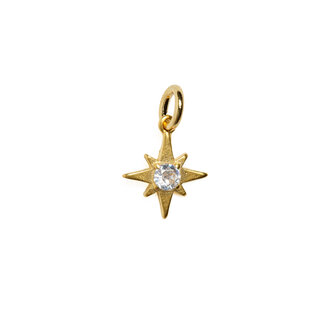 Fallen Aristocrat Petite Star Charm