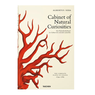 Cabinet Of Natural Curiosities