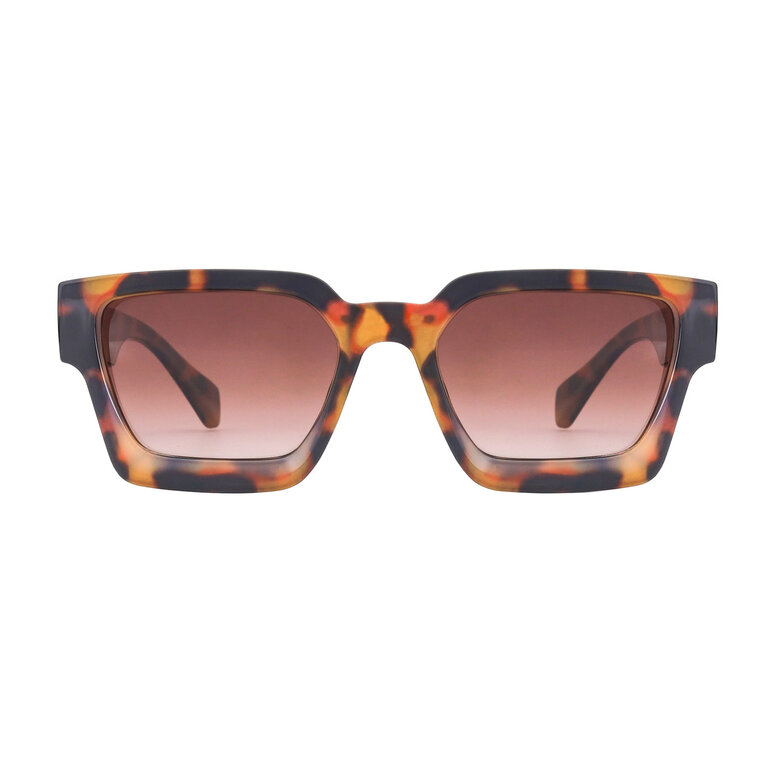 Ryan Simkhai Hailey Tortoise/Brown Lens Sunglasses