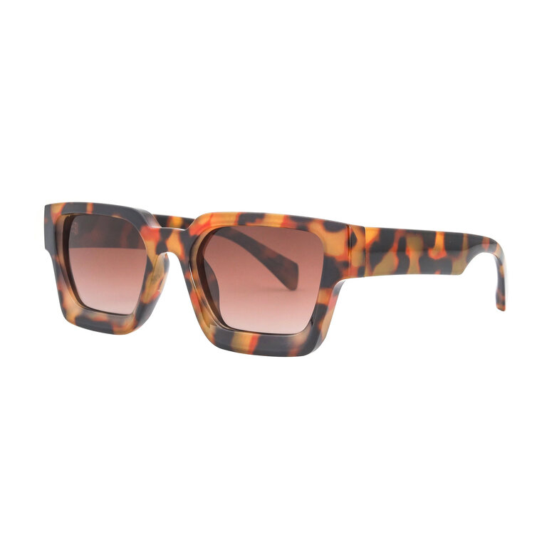 Ryan Simkhai Hailey Tortoise/Brown Lens Sunglasses