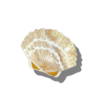 Seashell Hair Clip
