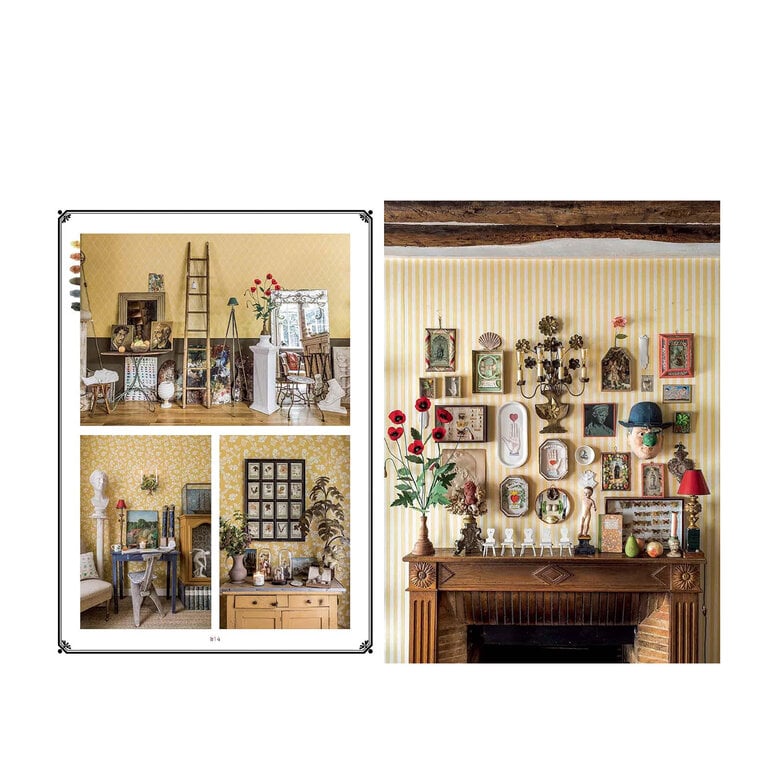 Extraordinary Collections
