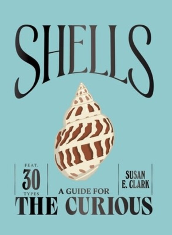 Book- Shells: A Case for the Curious
