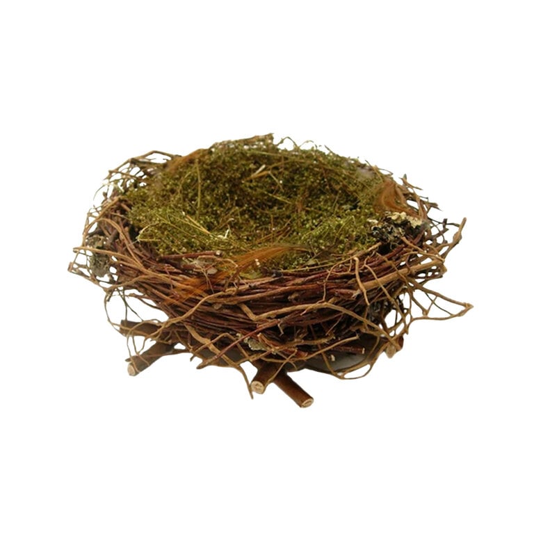 Wrens Nest