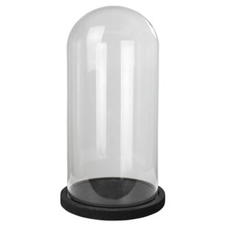 Glass Cloche with Black Wood Base