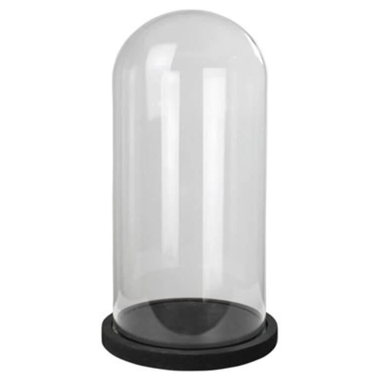Glass Cloche with Black Wood Base