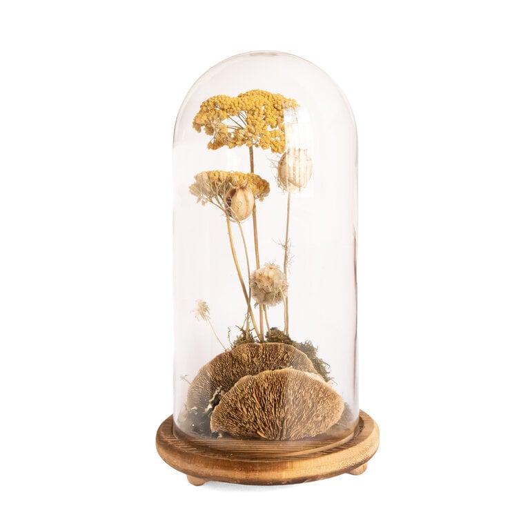 Botanical Curiosity Cloche