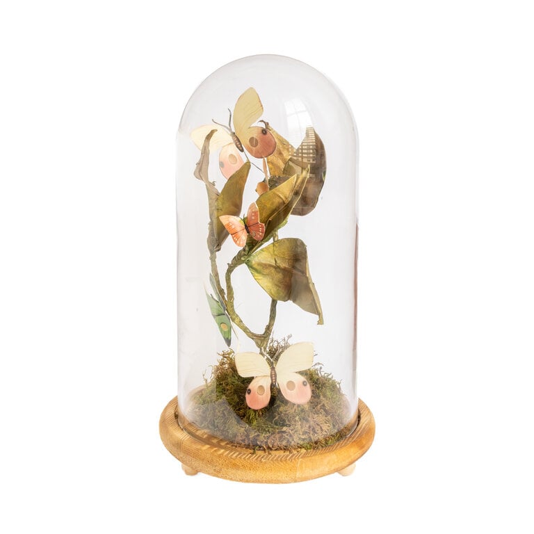 Butterfly Branch Curiosity Cloche