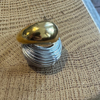 Julia Two Toned Textured Ring