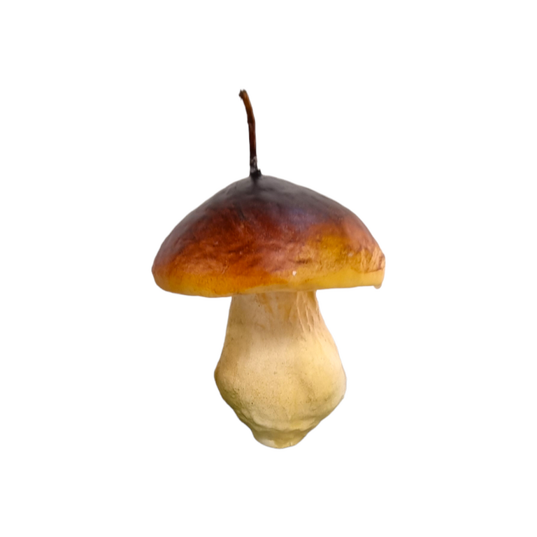 Cereria Introna Fungo Medio Mushroom Candle
