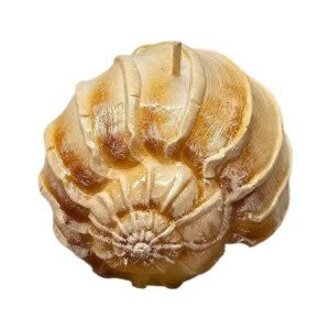 Cereria Introna Wrapped Shell Candle