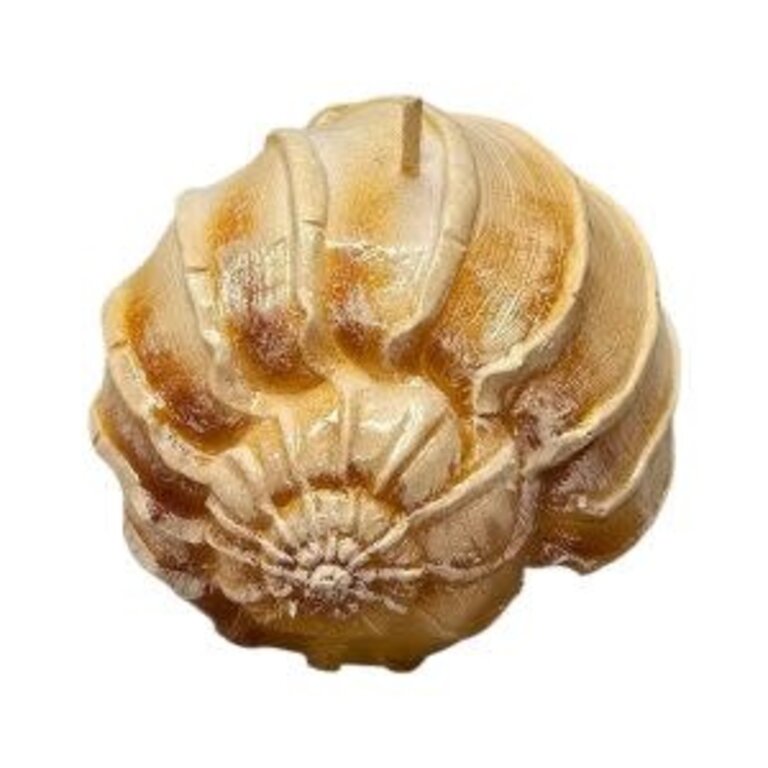 Cereria Introna Wrapped Shell Candle