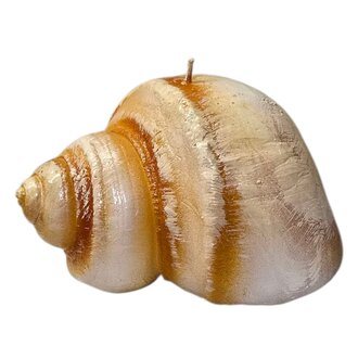 Cereria Introna Bodum Shell Candle