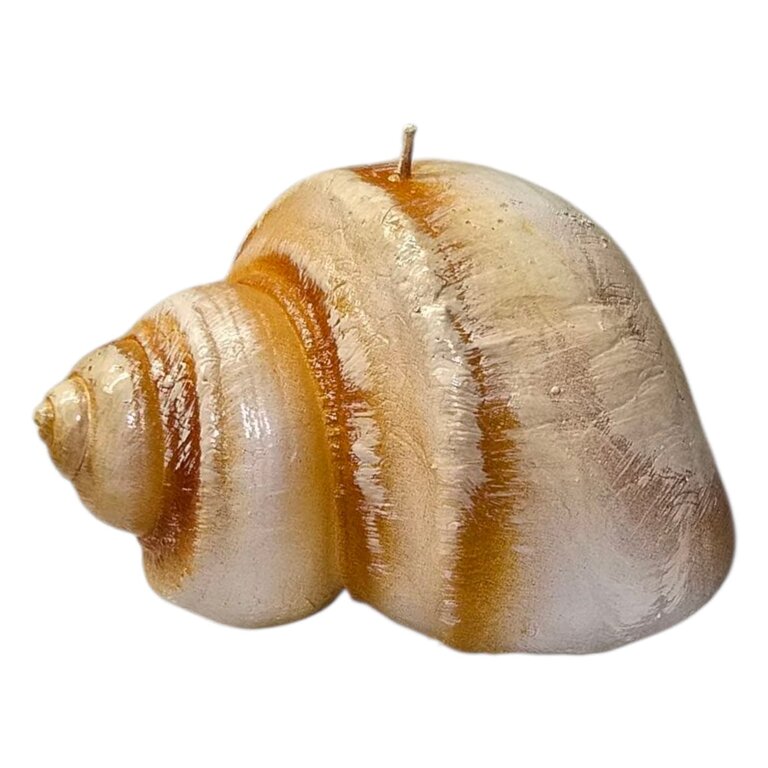 Cereria Introna Bodum Shell Candle