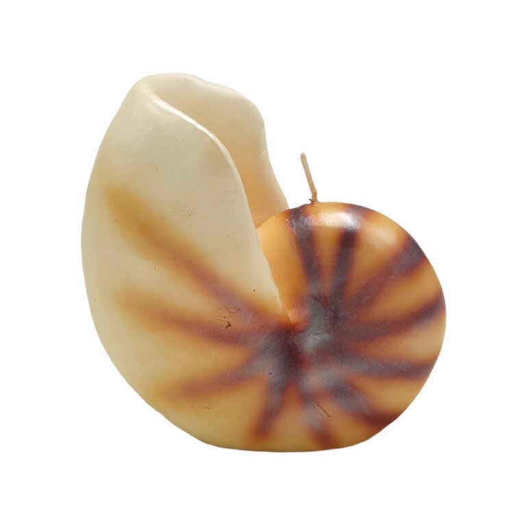 Cereria Introna Large Nautilus Shell Candle
