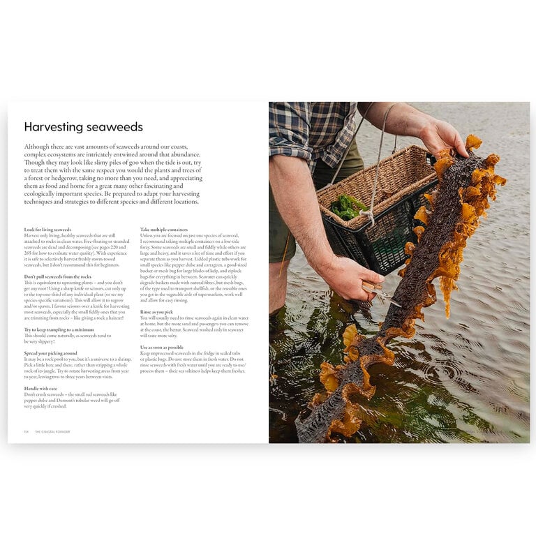 The Coastal Forager