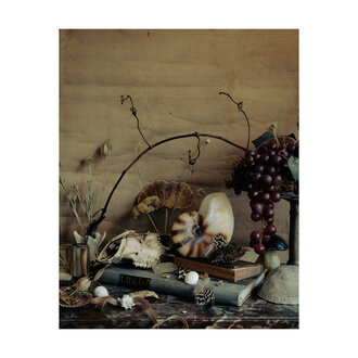 "Momento Mori" Paris Market Print 11x14