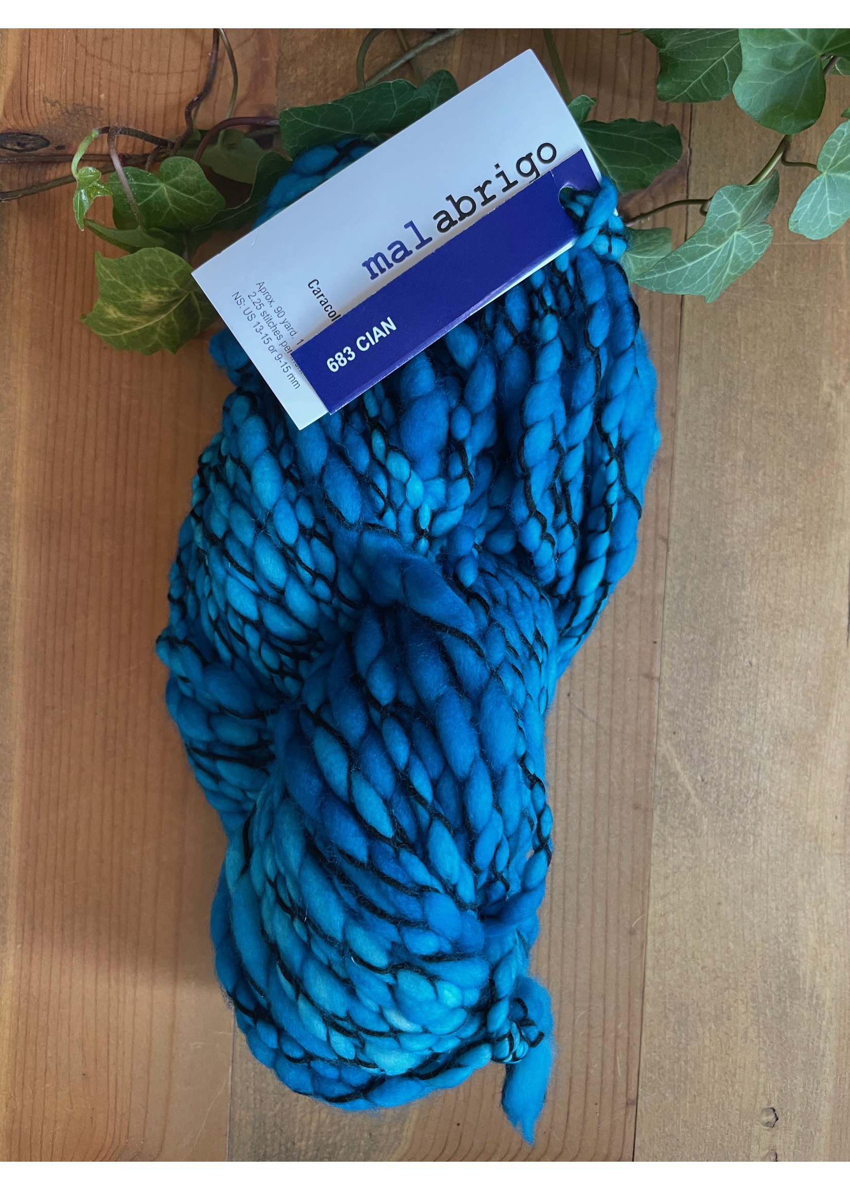 Malabrigo Caracol Yarn