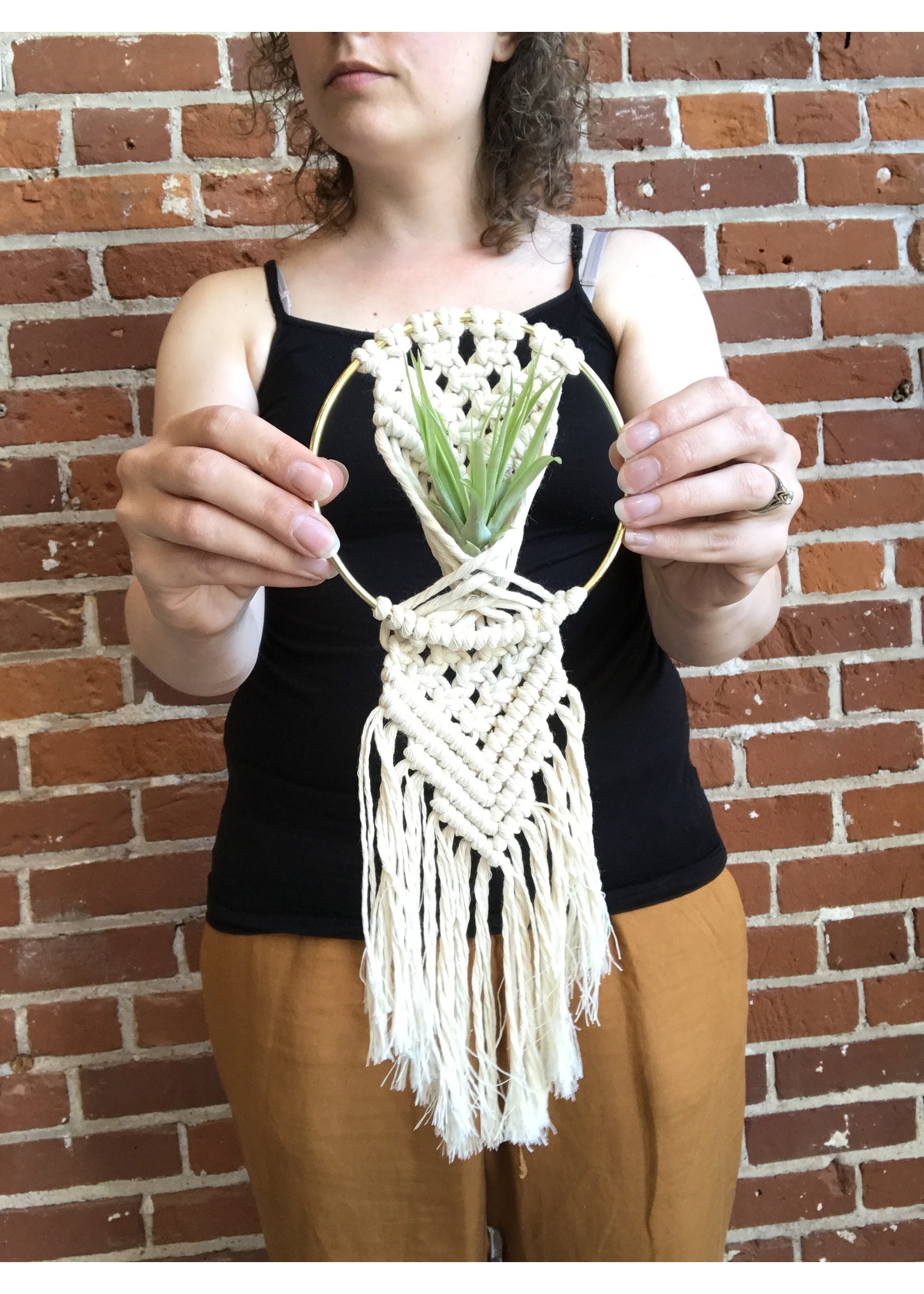 DIY macrame kit - Rowan Air Plant Hanger 5